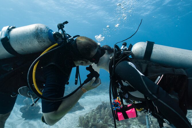 Side Scuba Diving for Beginners with Lunch and Transfers - What this Side boat day is really like