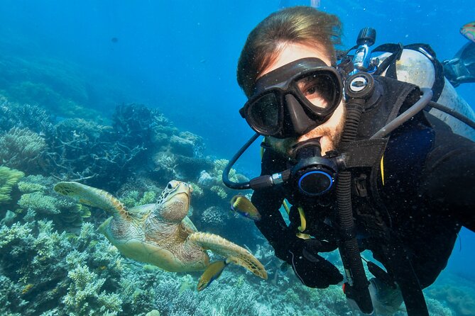 Side Scuba Diving for Beginners with Lunch and Transfers - The first session at 5 to 12 meters