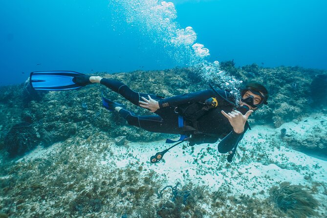 Side Scuba Diving for Beginners with Lunch and Transfers - Swimming and lunch between the sessions