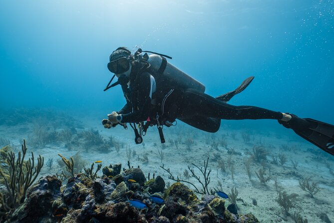 Side Scuba Diving for Beginners with Lunch and Transfers - The second guided session after lunch