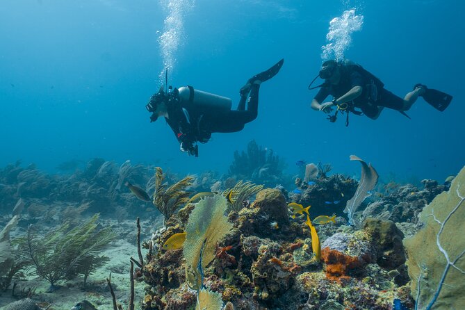 Side Scuba Diving for Beginners with Lunch and Transfers - Group size, atmosphere, and comfort