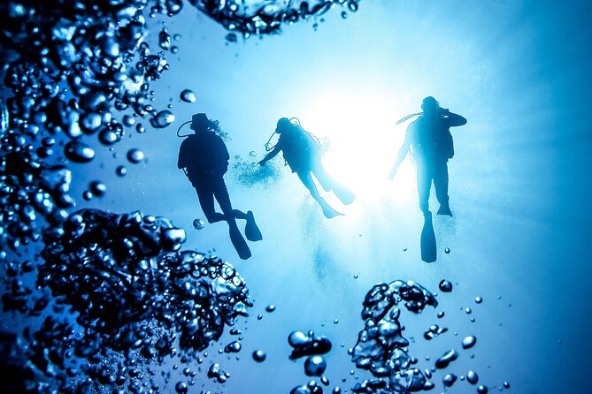Side Scuba Diving for Beginners with Lunch and Transfers - What the $49.21 price includes
