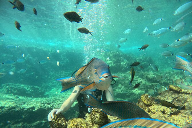 Side Scuba Diving for Beginners with Lunch and Transfers - The marina briefing and equipment setup