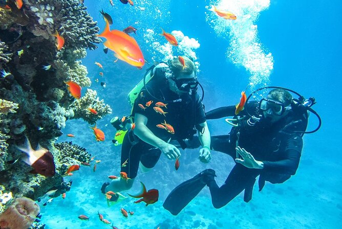 "Side: Scuba Diving in the Fascinating Underwater Museum" - Service, communication, and the sensible precautions