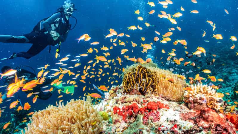 Side: Scuba Diving Tour Journey To The Depths Of The Blue - What makes Side’s underwater museum different