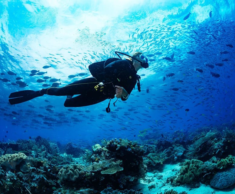 Side: Scuba Diving Tour Journey To The Depths Of The Blue - A long lunch break on the boat