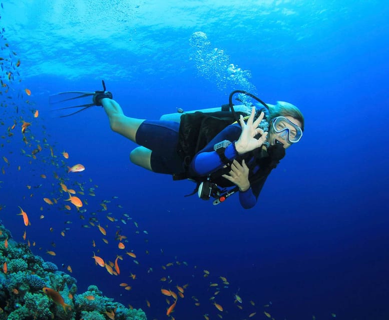 Side: Scuba Diving Tour Journey To The Depths Of The Blue - Who will enjoy this most