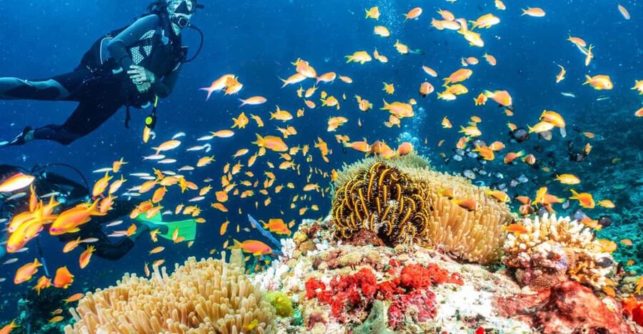 Side: Scuba Diving Tour Journey To The Depths Of The Blue - Safety instruction before the first descent