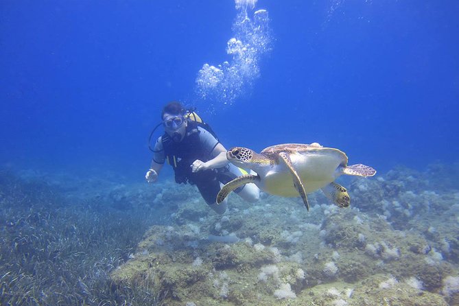 Side: Scuba Diving Under Water Museum - From Side’s harbor to the first underwater session