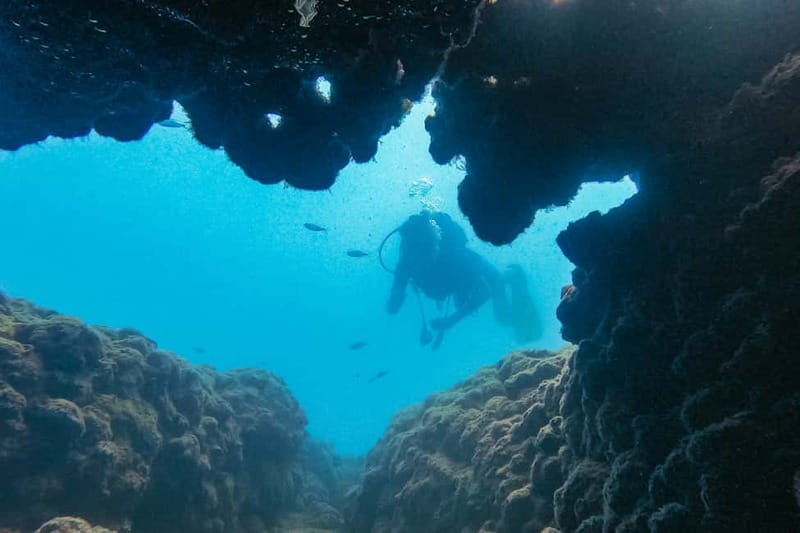 Side: Scuba Diving, Underwater Museum, 2 Dives incl. Lunch - What the Side boat trip is really like