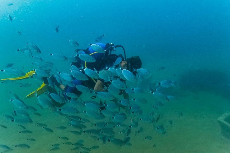 Side: Scuba Diving, Underwater Museum, 2 Dives incl. Lunch - The underwater museum and Mediterranean sea life