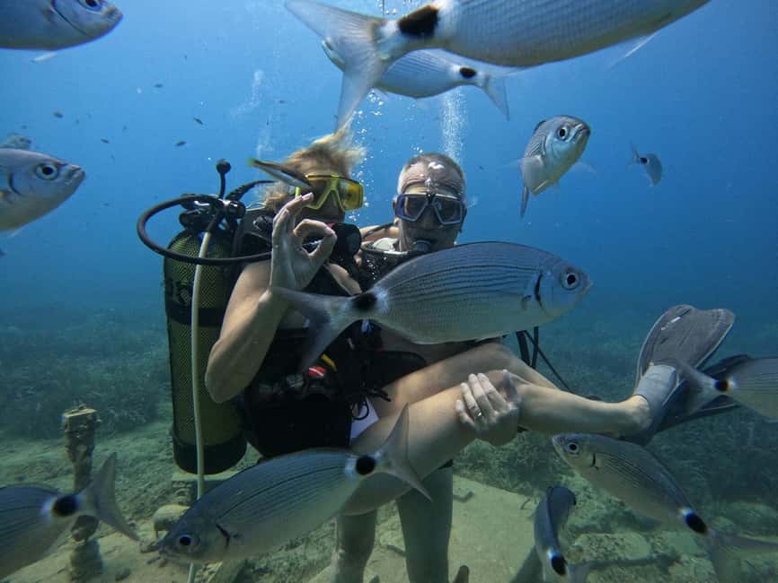 Side: Scuba Diving with Expert Diving Option - How good is the instruction?