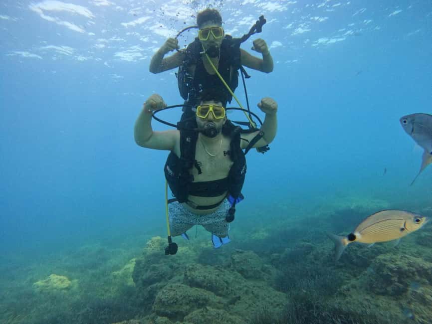 Side: Scuba Diving with Expert Diving Option - Price, value, and what is not included