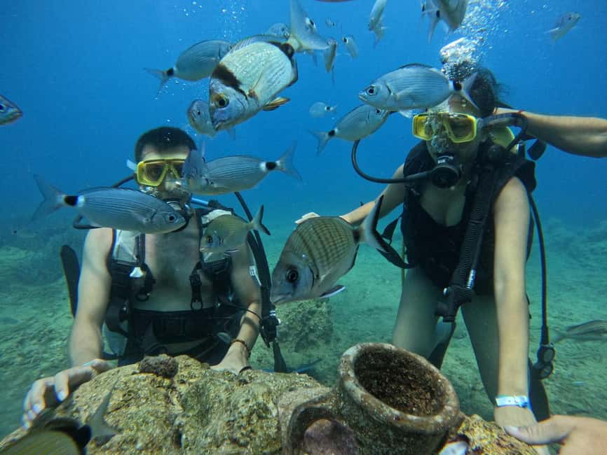 Side: Scuba Diving with Expert Diving Option - Timing, health, and comfort