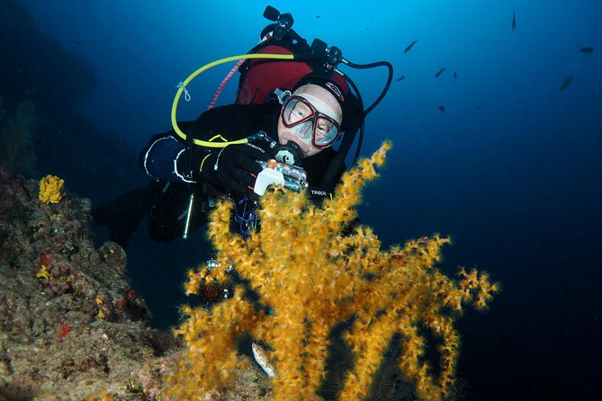 Single Dive for qualified divers from shore, region Puerto del Carmen. - Black Beach, Playa Chica, and the wreck sites
