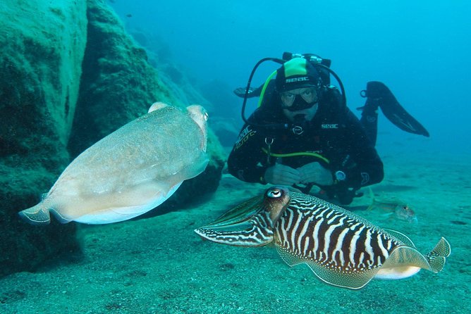 Single Dive for qualified divers from shore, region Puerto del Carmen. - What you can expect at Playa Grande