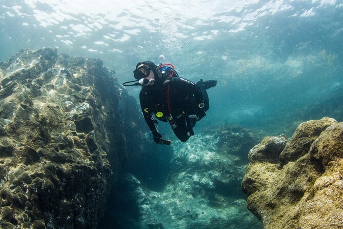Single Scuba Try-Dive in Puerto del Carmen - small groups - 2 hours - The safety briefing is part of the experience