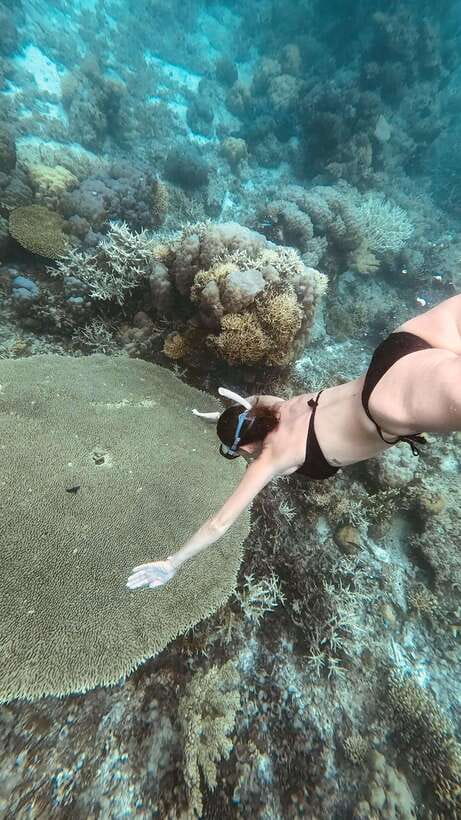 Siquijor: Freediving Adventure with Lunch and Beach Time - Tulapos Marine Sanctuary and the first coral stop