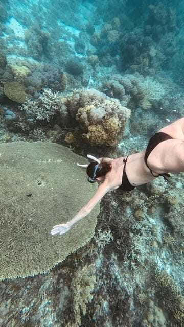 Siquijor: Freediving Adventure with Lunch and Beach Time - Caticugan Sanctuary and clear water