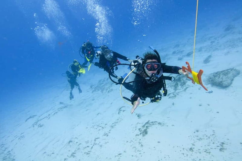 Sithonia: 1 Guided Shore Dive for Certified Divers - Why a group of six changes the feel