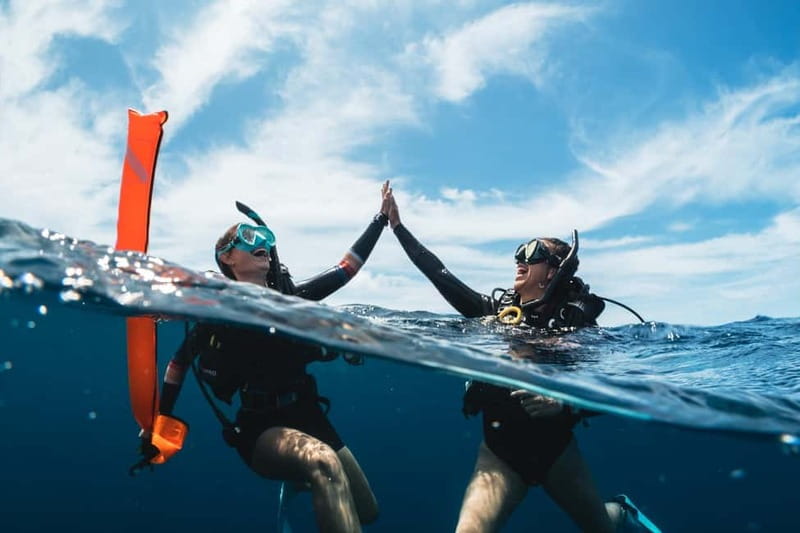 Sithonia: 1 Guided Shore Dive for Certified Divers - Pickup from nine Sithonia locations