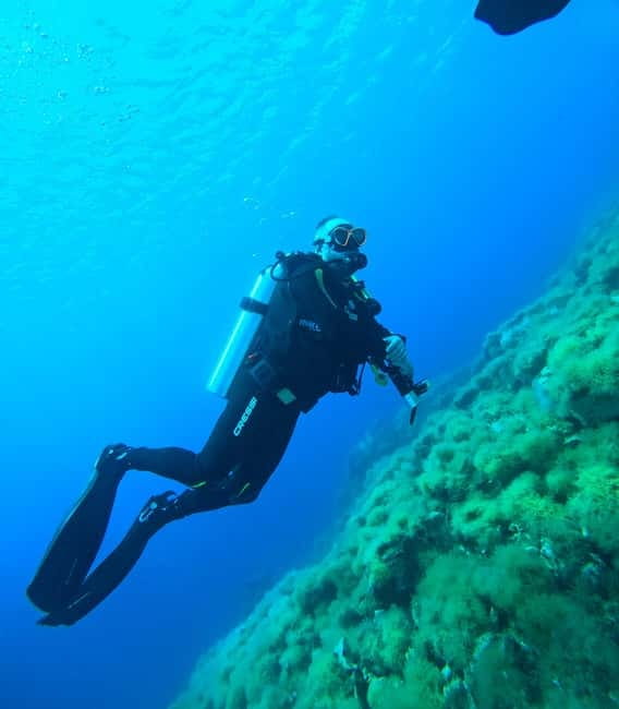 Sithonia: 1 Guided Shore Dive for Certified Divers - Is $87 fair for three hours?