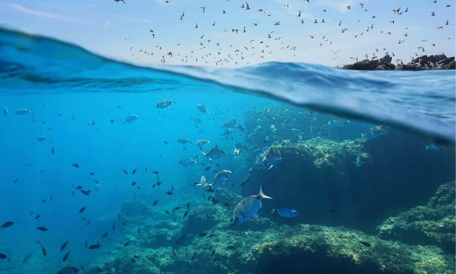 Sithonia: Scuba Diving Experience for Beginners - Why the small group matters