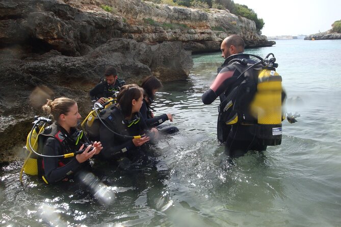Small Group Diving Adventure in Menorca - Who will get the most from this Menorca activity