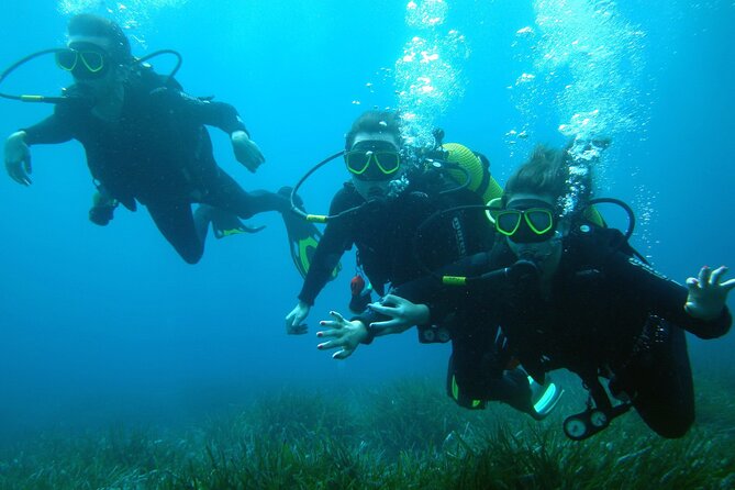Small Group Diving Adventure in Menorca - Traveling to a cove chosen for the day