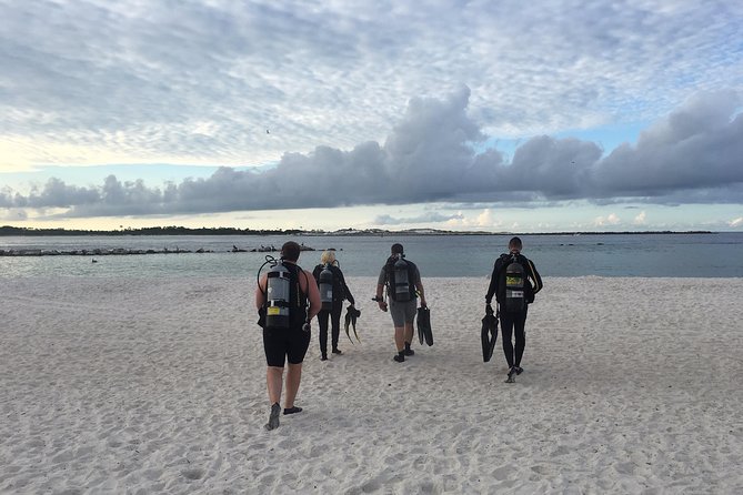 Small Group Guided Shore Dives in St. Andrews State Park, Florida - Key points to know before you book