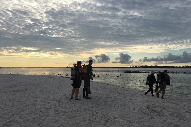 Small Group Guided Shore Dives in St. Andrews State Park, Florida - A calm introduction to Panama City Beach underwater