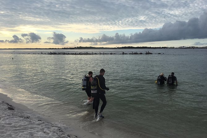 Small Group Guided Shore Dives in St. Andrews State Park, Florida - Why the small group matters
