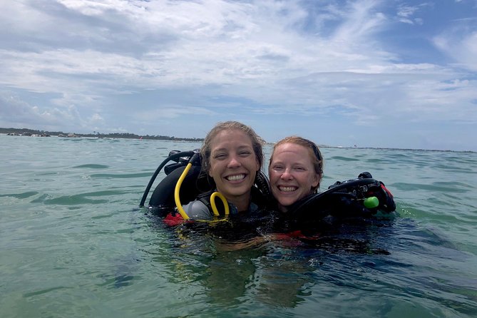 Small Group Guided Shore Dives in St. Andrews State Park, Florida - Along the jetty wall at St. Andrews State Park