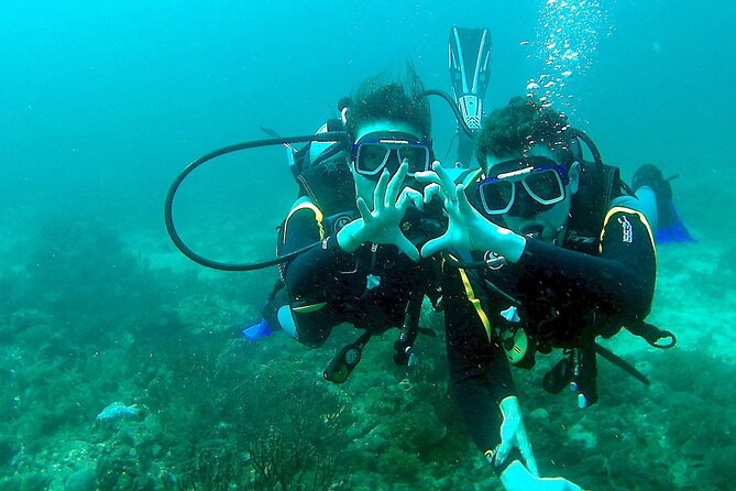 Small-Group Introductory Scuba Diving in Pula - The 30-minute coastal session