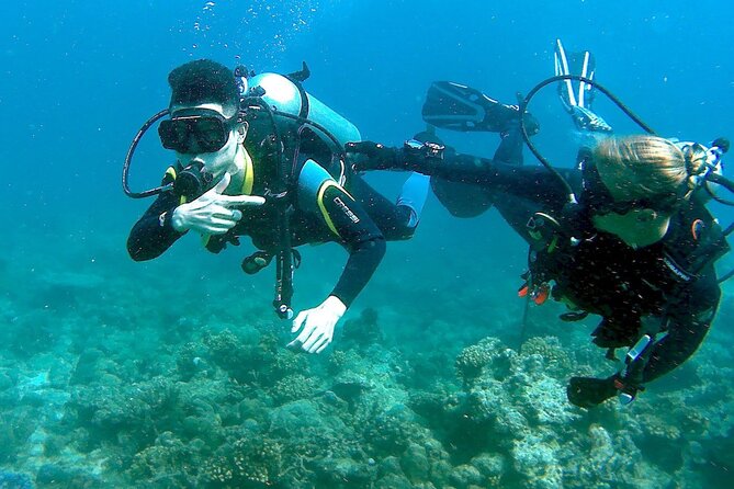 Small-Group Introductory Scuba Diving in Pula - Who will enjoy this experience most