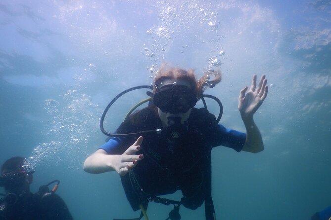 Small-Group Introductory Scuba Diving in Pula - Timing, weather, and practical planning