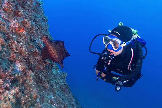 Small-Group Scuba Diving Adventure in Costa Brava - Key points at a glance