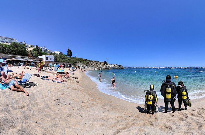 Small-Group Scuba Diving Adventure in Costa Brava - The 45-minute break between sessions