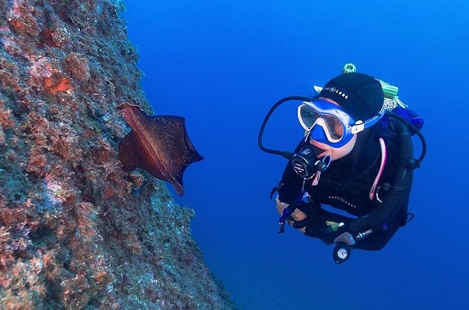 Small-Group Scuba Diving Adventure in Costa Brava - Equipment, organization, and the coastal setting