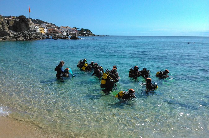 Small-Group Scuba Diving Adventure in Costa Brava - Is $133.02 a fair price?