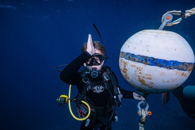 Small-Group Shark and Turtle Dive for Certified Divers - Entering from shore with a full scuba setup