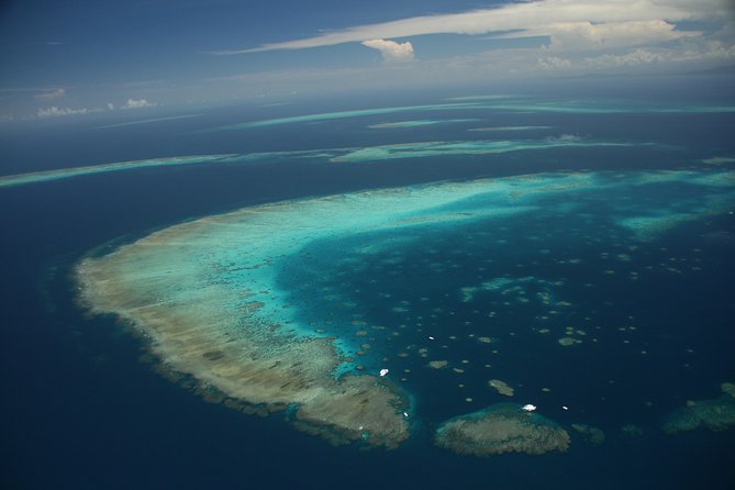 Snorkel & Dive the Reef: Sustainable, Scientific & Cultural Tour - Three ways to see the reef without getting wet