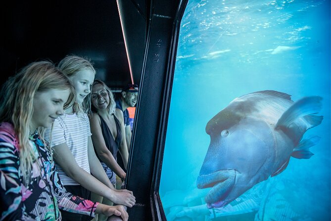 Snorkel & Dive the Reef: Sustainable, Scientific & Cultural Tour - Marine science and Indigenous culture