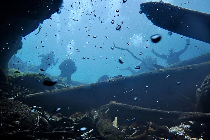 Snorkel Or Dive The Amazing Rainbow River Florida - Drifting through the Rainbow River