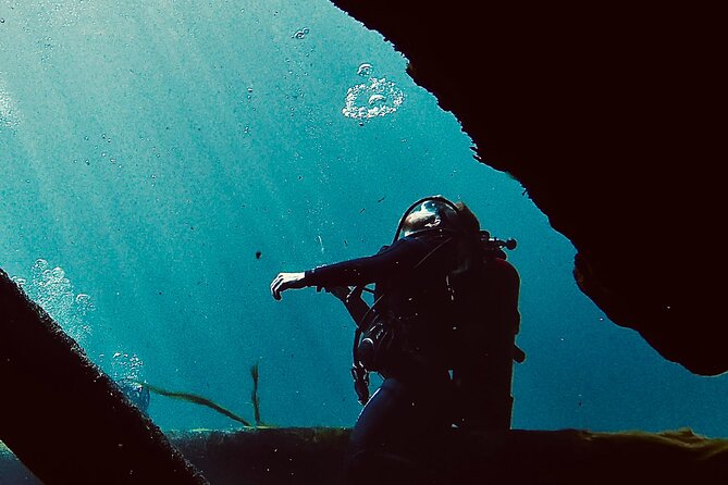 Snorkel Or Dive The Amazing Rainbow River Florida - What the $75 price really covers