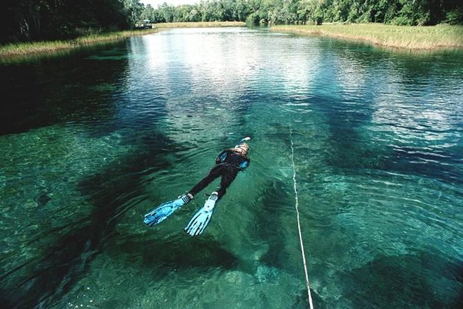Snorkel Or Dive The Amazing Rainbow River Florida - From Rainbow Springs State Park to the launch dock