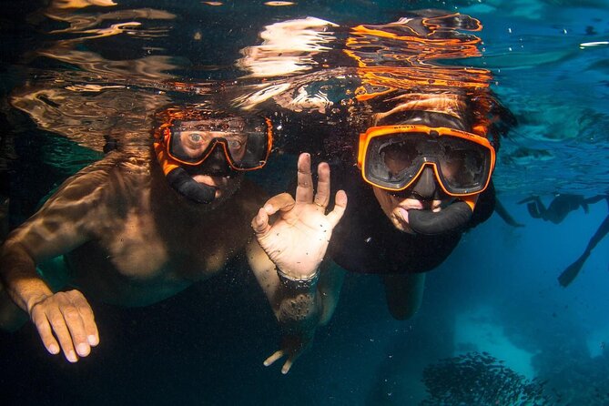 Snorkel Shore Trip with Scubaçao "East Point" - Local guides make the land portion count