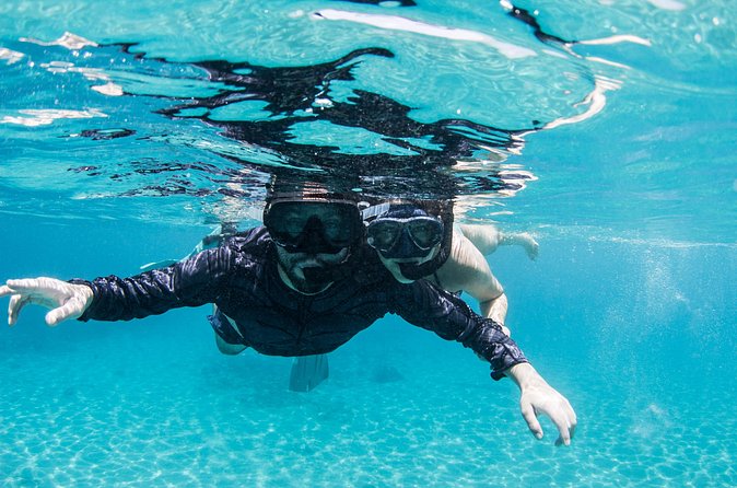 Snorkel Shore Trip with Scubaçao "East Point" - A small group can change the whole day
