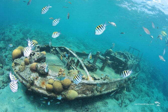 Snorkel Shore Trip with Scubaçao "East Point" - Transport and meeting points need attention