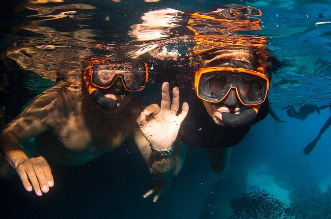 Snorkel Shore Trip with Scubaçao "East Point" - What the equipment and picnic are really like